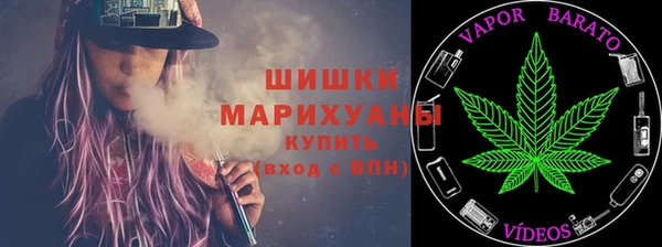 PSILOCYBIN Алзамай