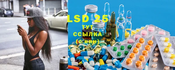 PSILOCYBIN Алзамай