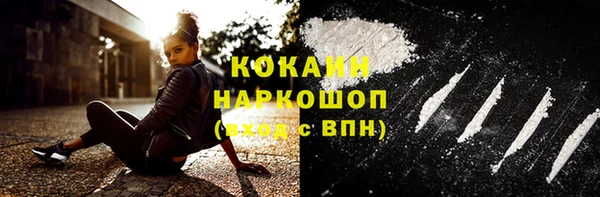 PSILOCYBIN Алзамай